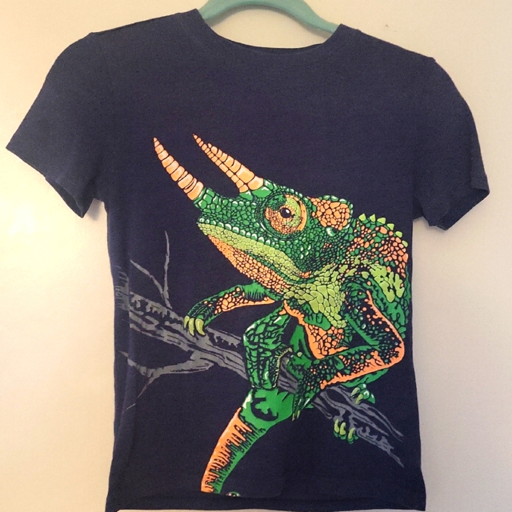 Boys Chameleon T: dark blue, green and orange design. CAT&JACK BOYS M (8-10).